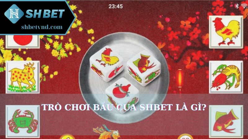 Trò chơi Bầu cua Shbet là gì?